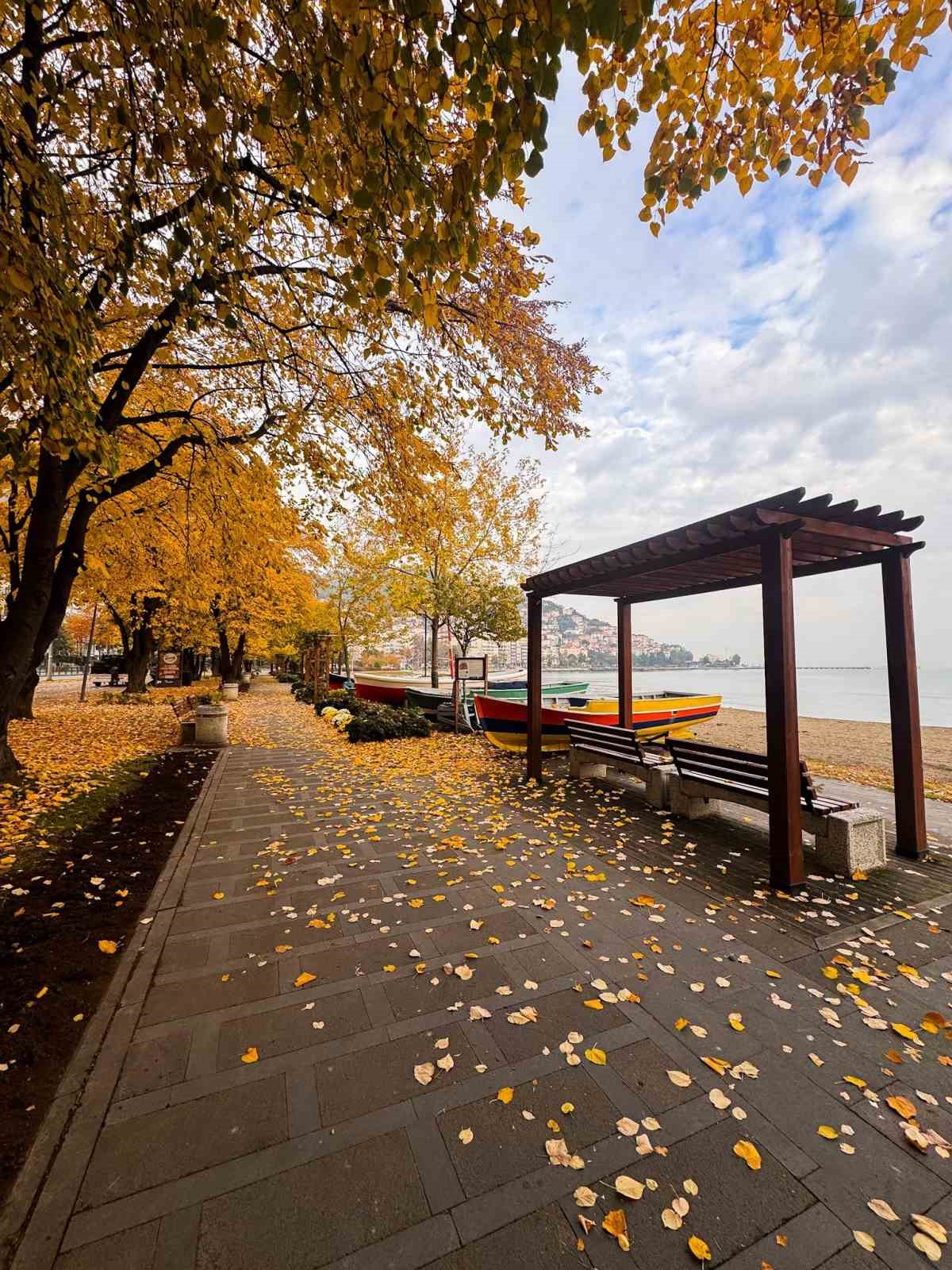 Ordu’da sonbaharda renk cümbüşü
