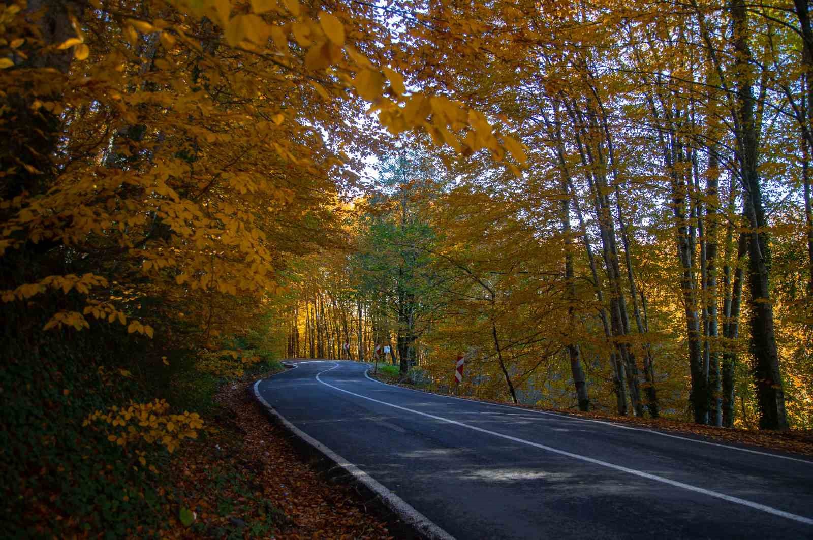 Ordu’da sonbaharda renk cümbüşü
