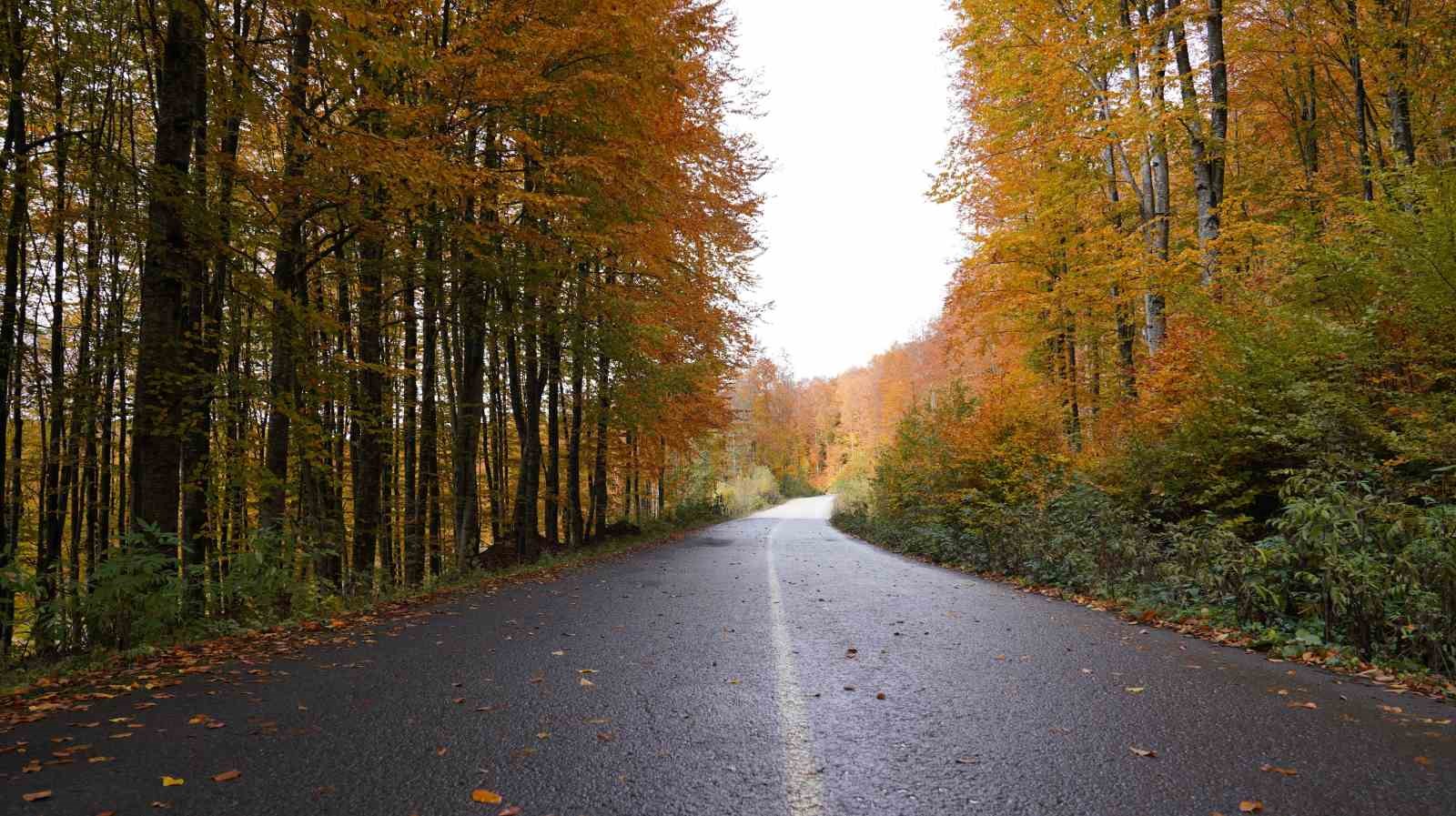 Ordu’da sonbaharda renk cümbüşü
