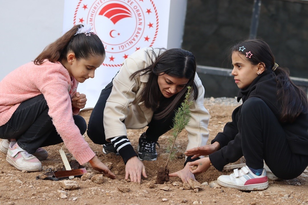 Şehit öğretmenler anısına hatıra ormanı oluşturuldu
