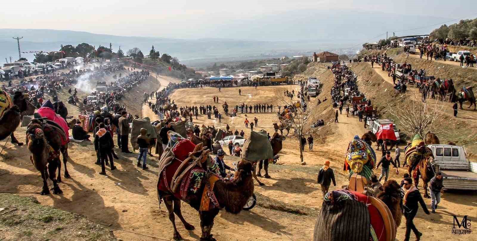 Kuyucak’ta deve güreşi şenlikleri yapılacak
