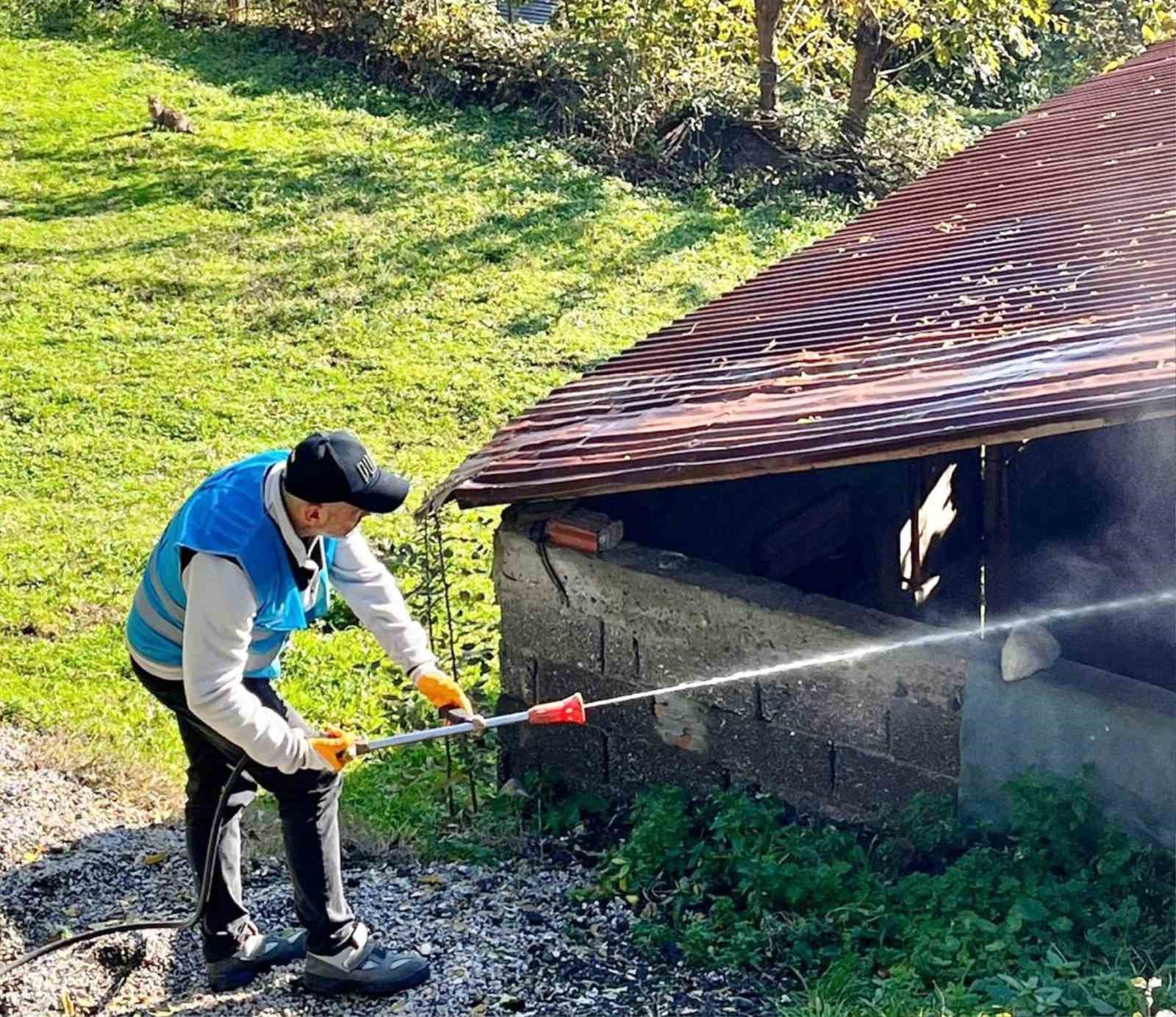 Tekkeköy’de istilacı kahverengi kokarcaya karşı savaş açıldı
