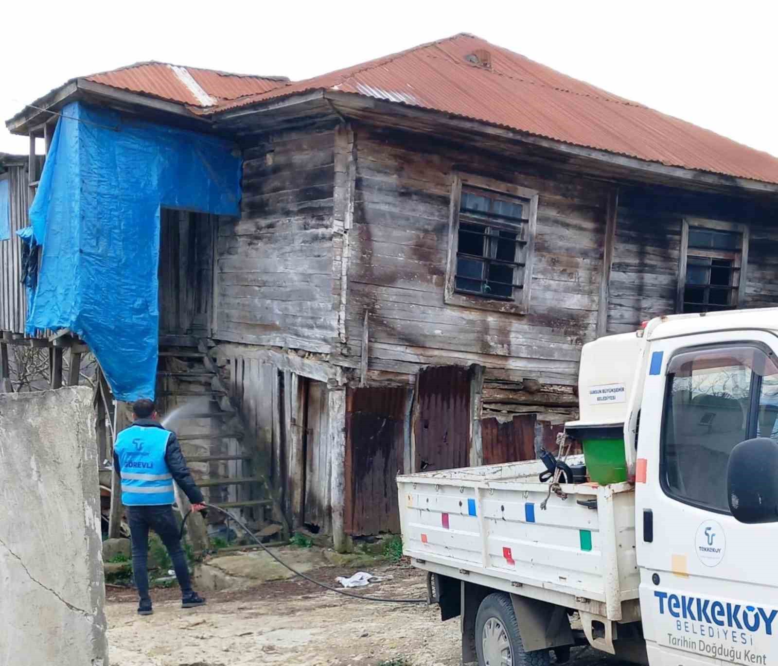 Tekkeköy’de istilacı kahverengi kokarcaya karşı savaş açıldı
