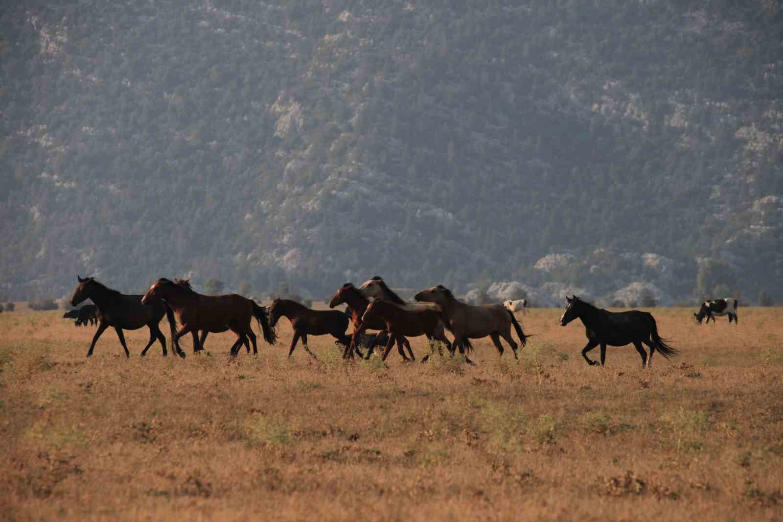 Dünyanın en iyi turizm köyü eşsiz güzellikleriyle misafirlerini bekliyor
