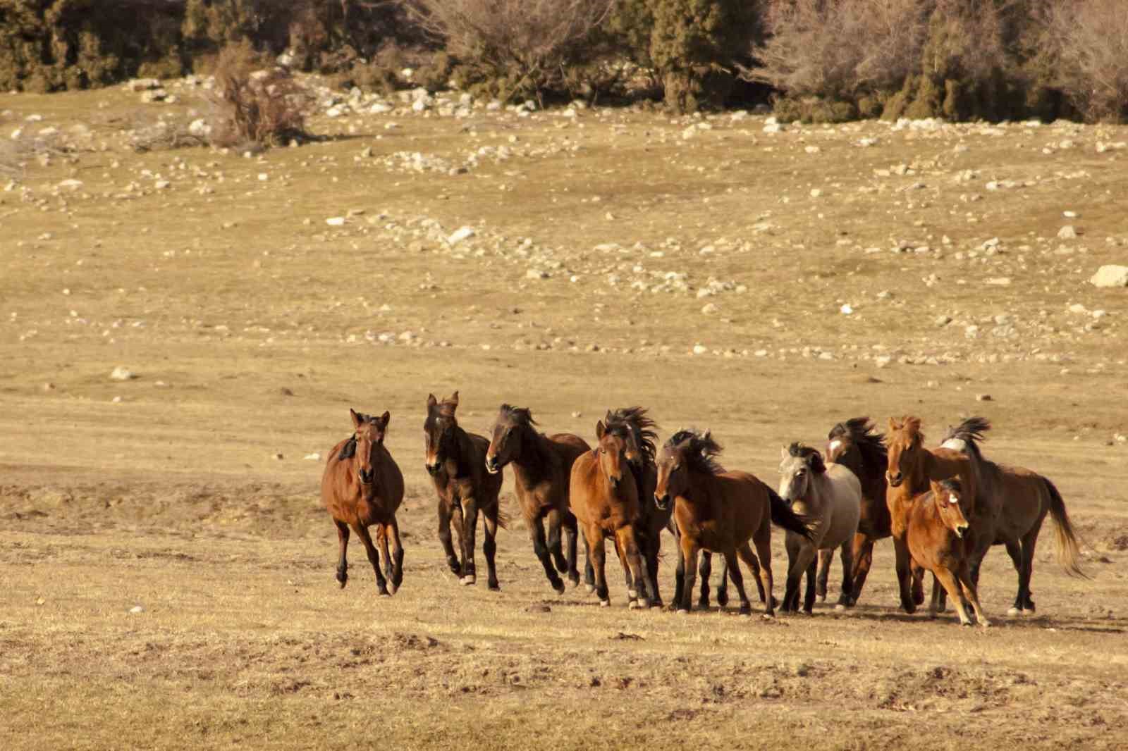 Dünyanın en iyi turizm köyü eşsiz güzellikleriyle misafirlerini bekliyor
