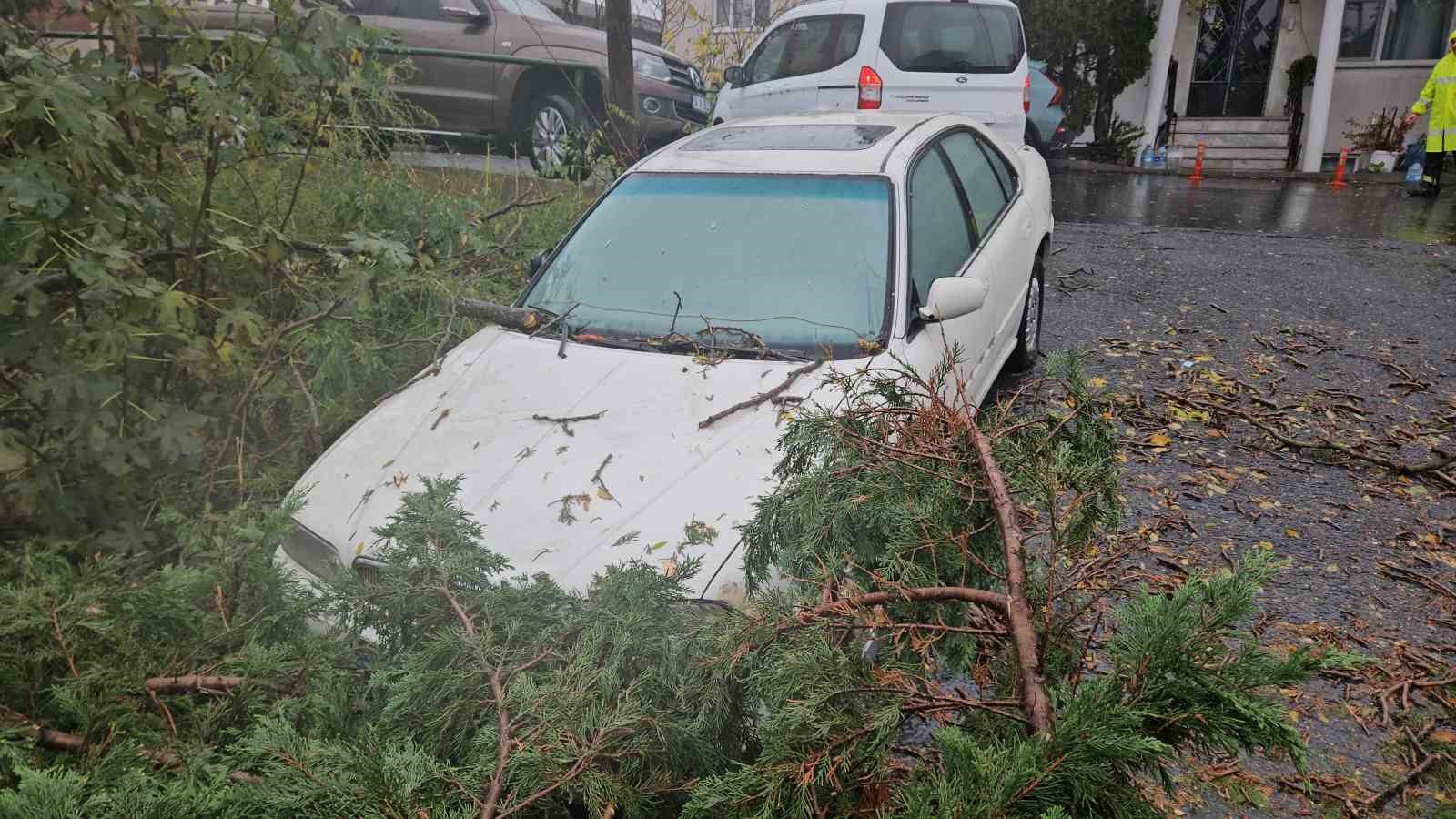 Beşiktaş’ta lodos nedeniyle ağaç otomobilin üzerine devrildi
