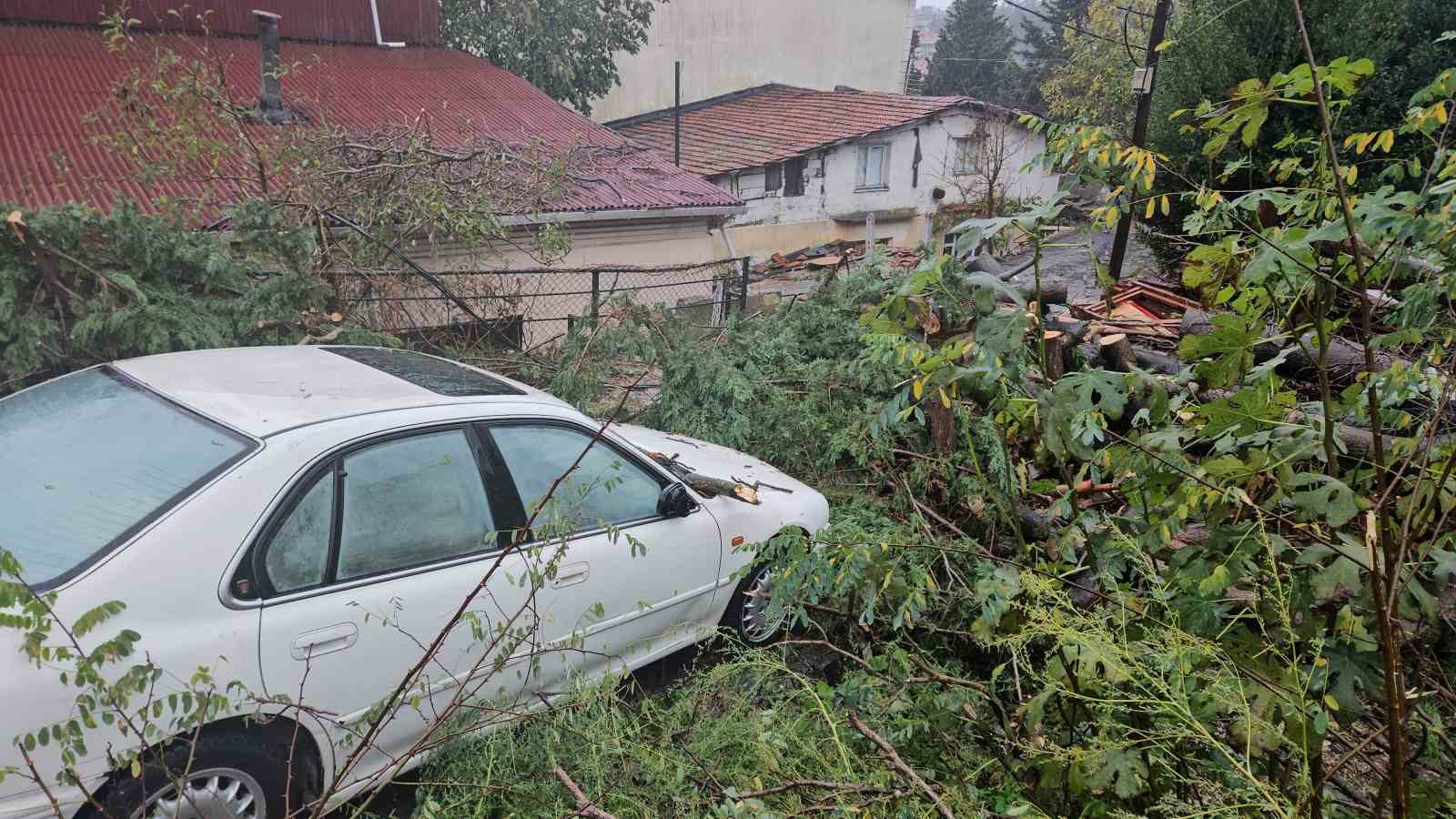 Beşiktaş’ta lodos nedeniyle ağaç otomobilin üzerine devrildi
