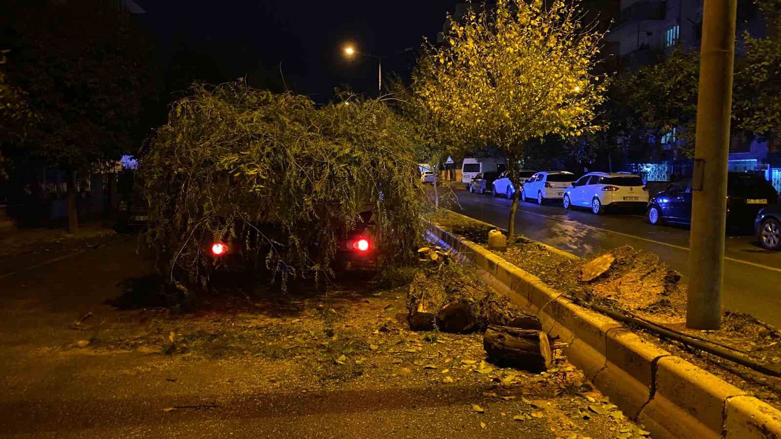 Devrilen ağaç yolu trafiğe kapattı
