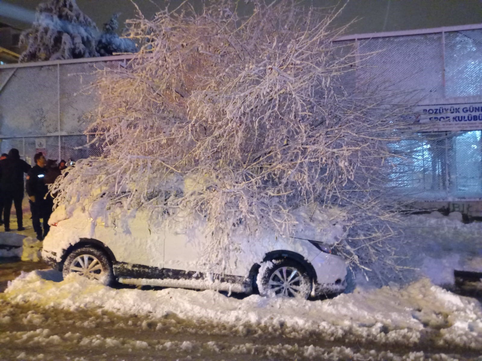 Bilecik’te ağaç otomobilin üstüne devrildi
