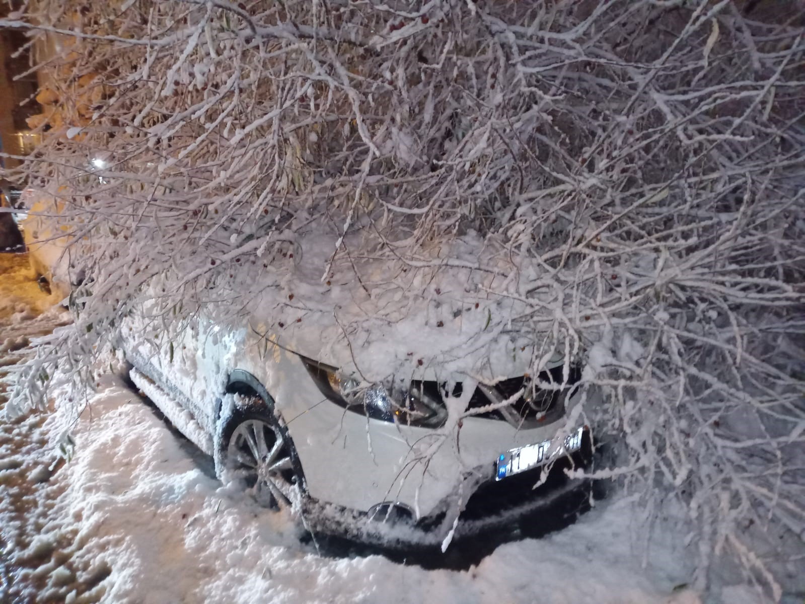 Bilecik’te ağaç otomobilin üstüne devrildi
