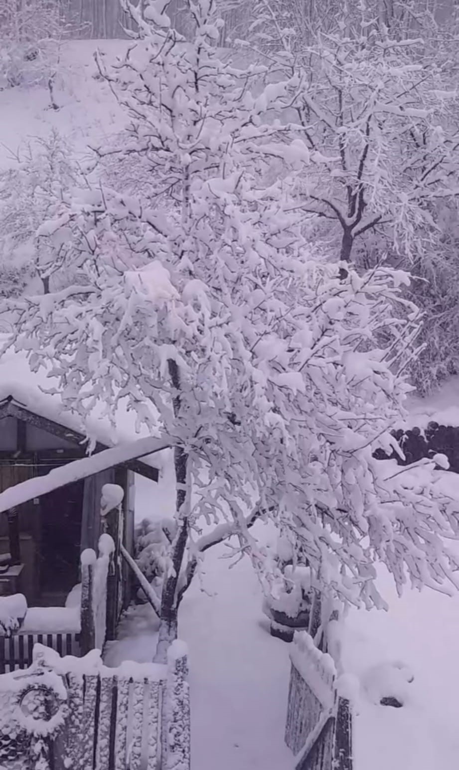 Sinop’ta kar yağışı
