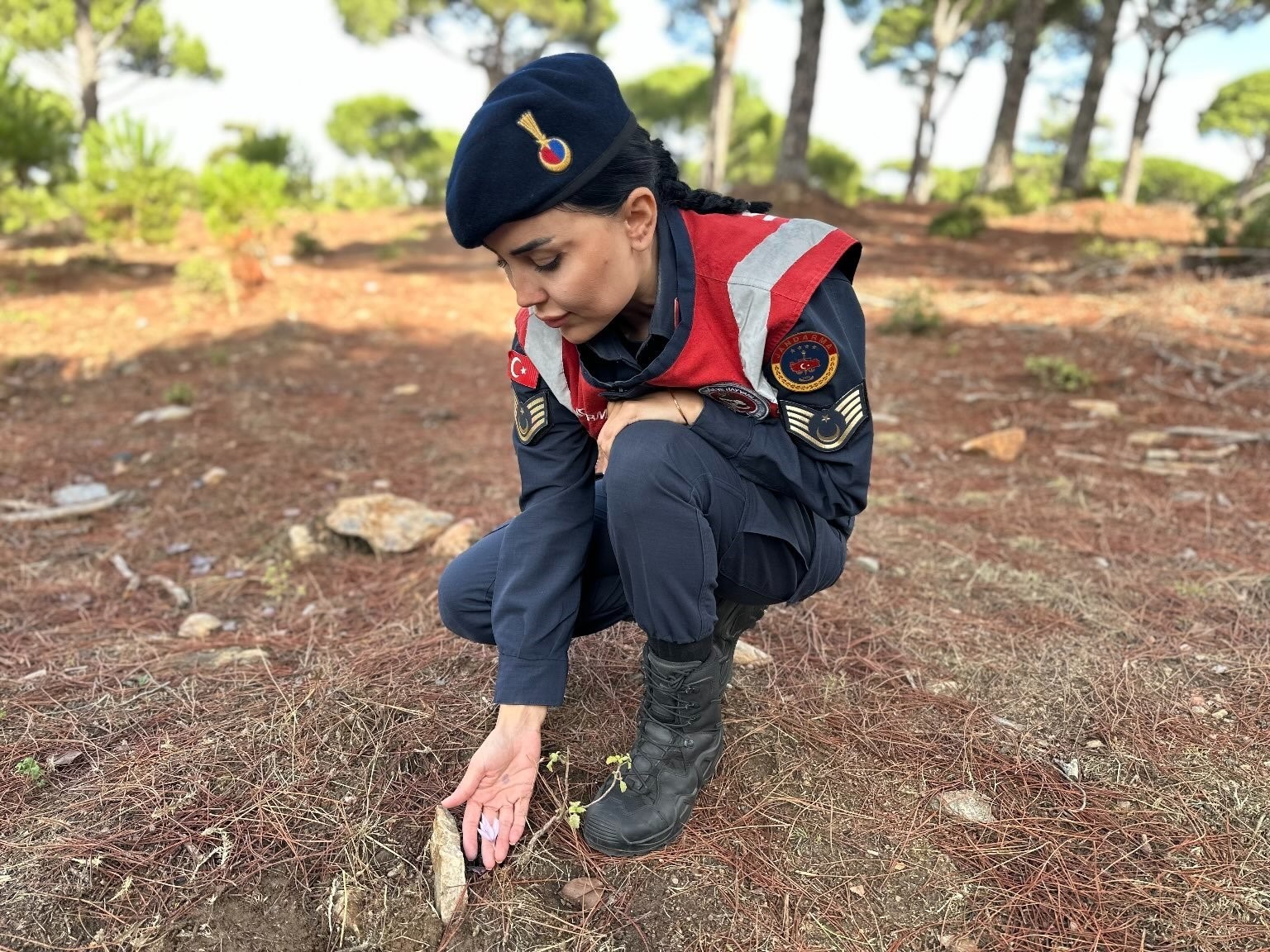 Bu çiçeği koparmanın cezası 387 bin lira
