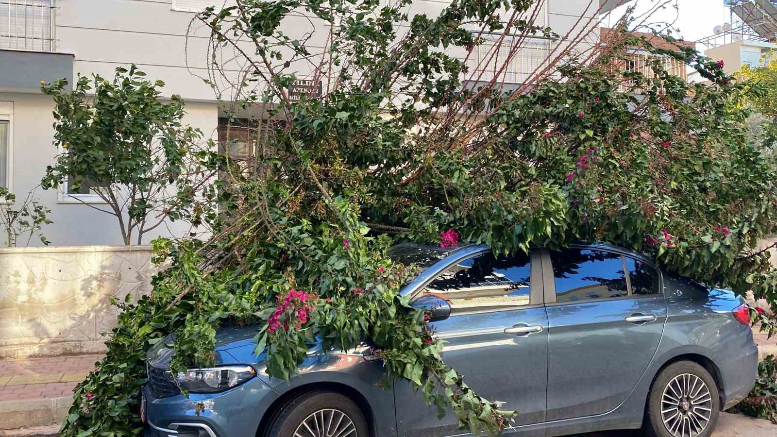 Antalya’da fırtınaya dayanamayan ağaç park halindeki aracın üzerine devrildi
