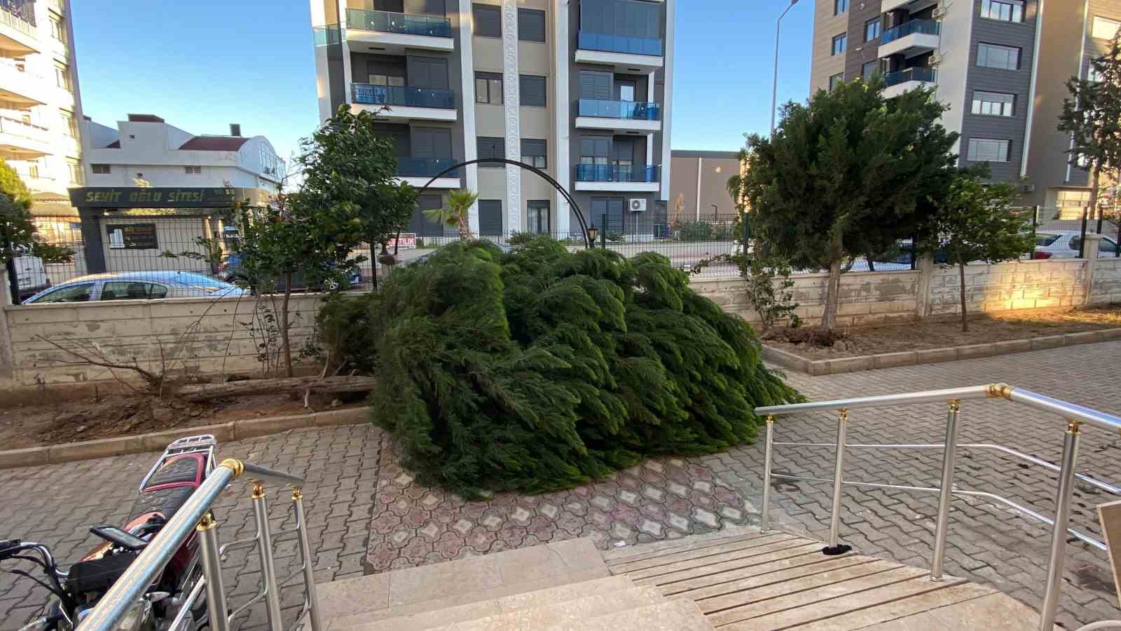 Antalya’da fırtınaya dayanamayan ağaç park halindeki aracın üzerine devrildi
