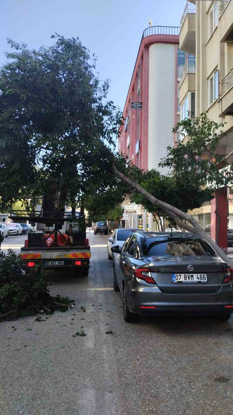 Antalya’da fırtına mesaisi
