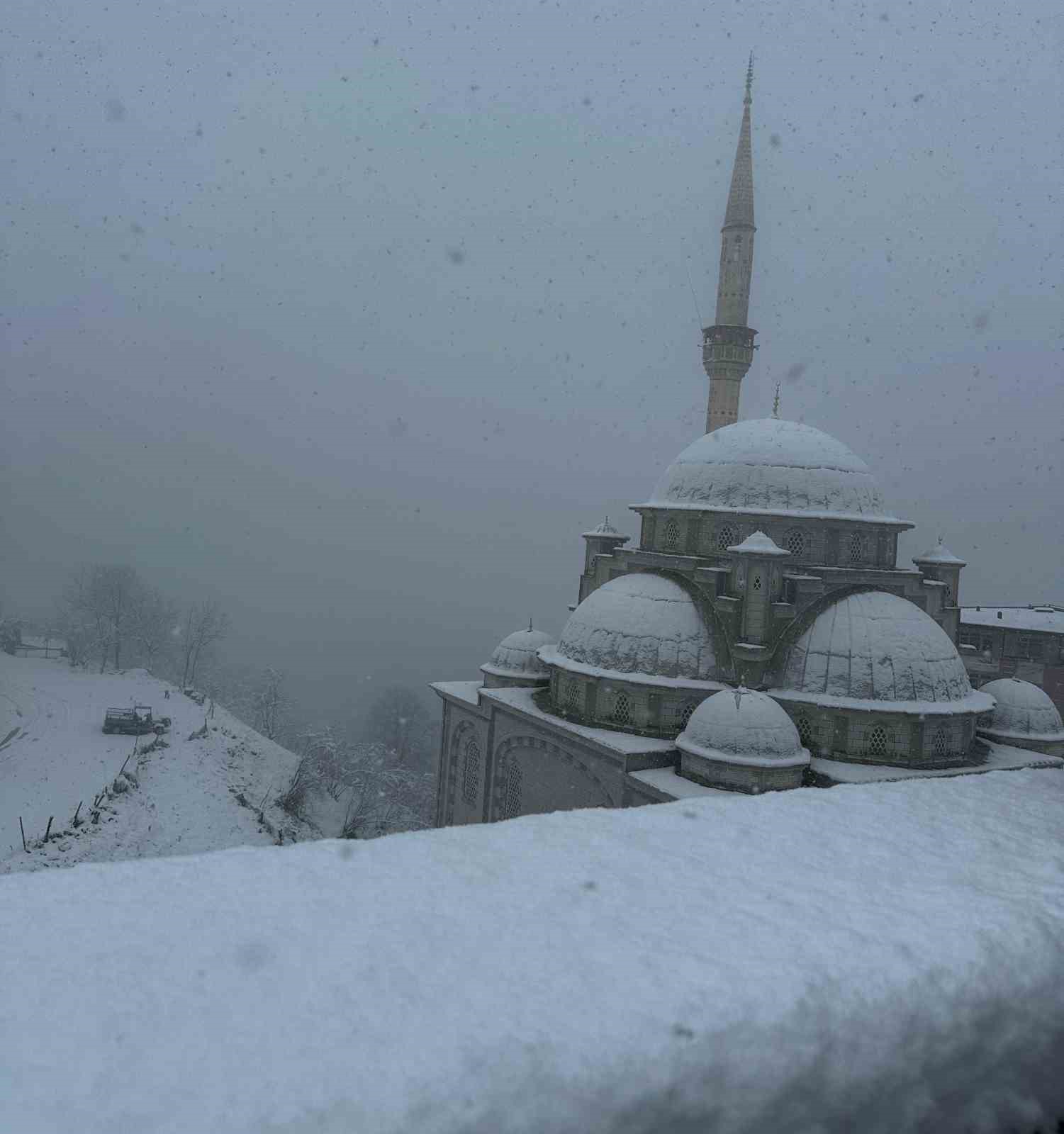 Ordu’da kar yağışı etkili oldu
