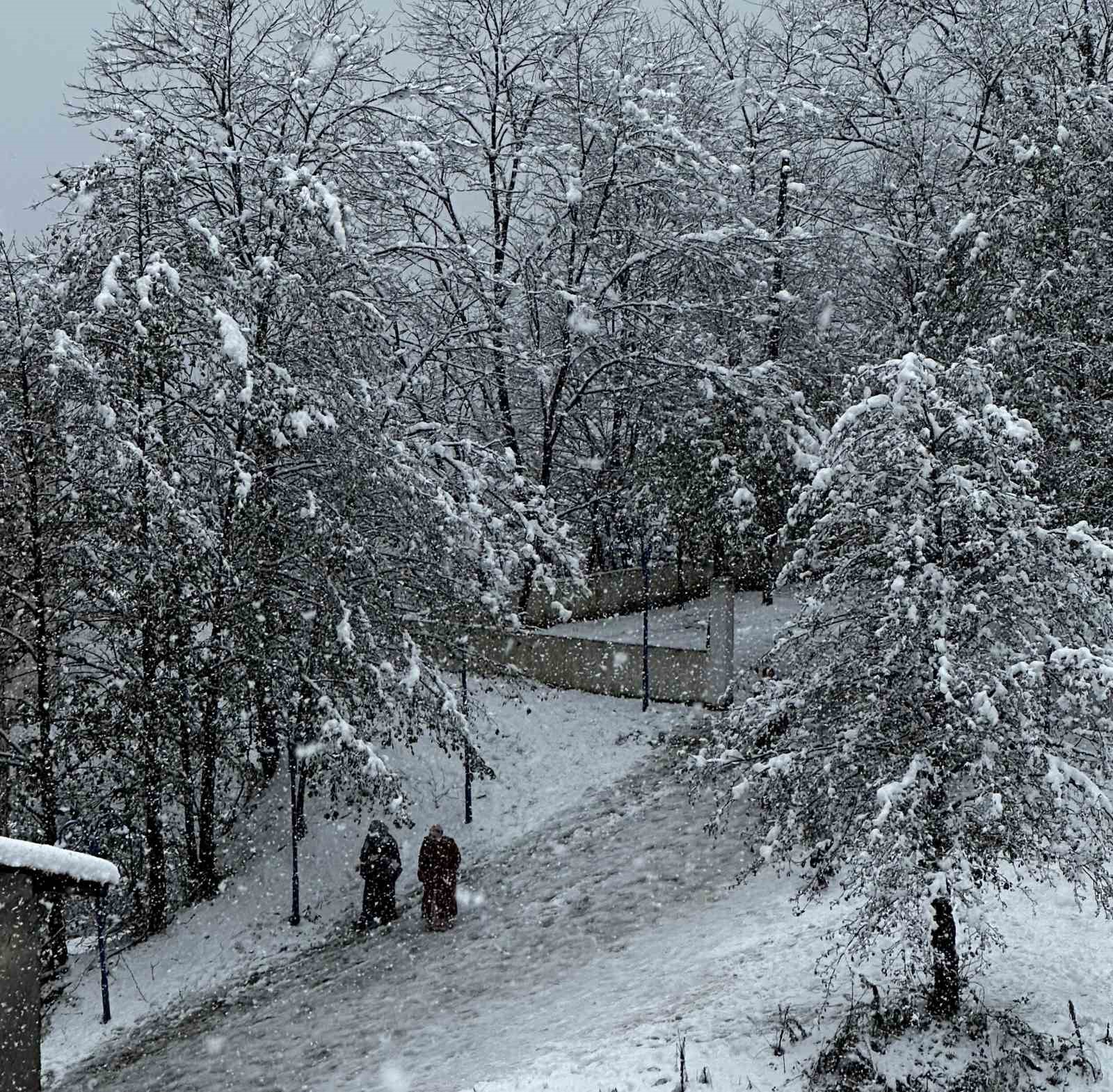 Ordu’da kar yağışı etkili oldu
