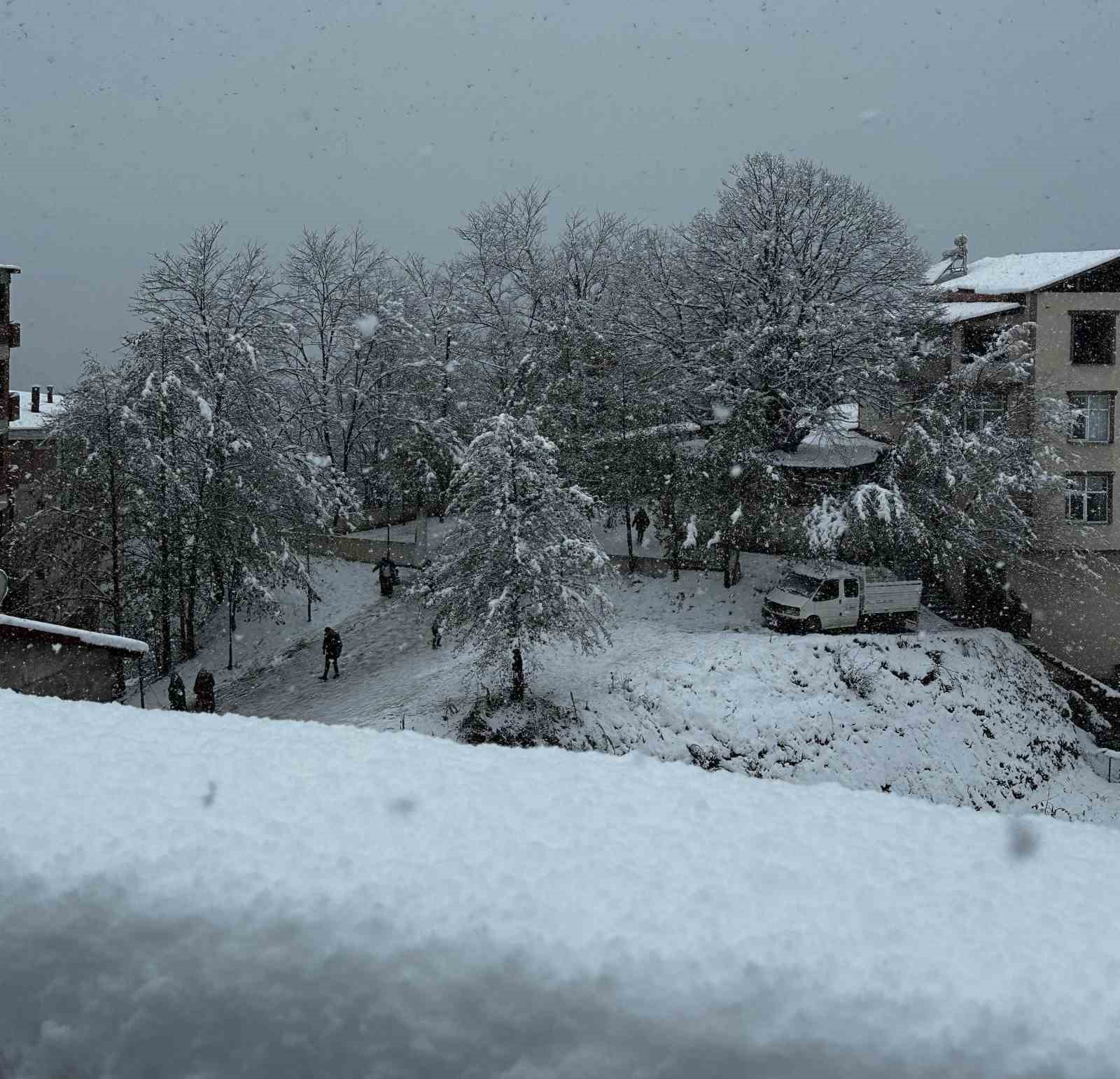 Ordu’da kar yağışı etkili oldu
