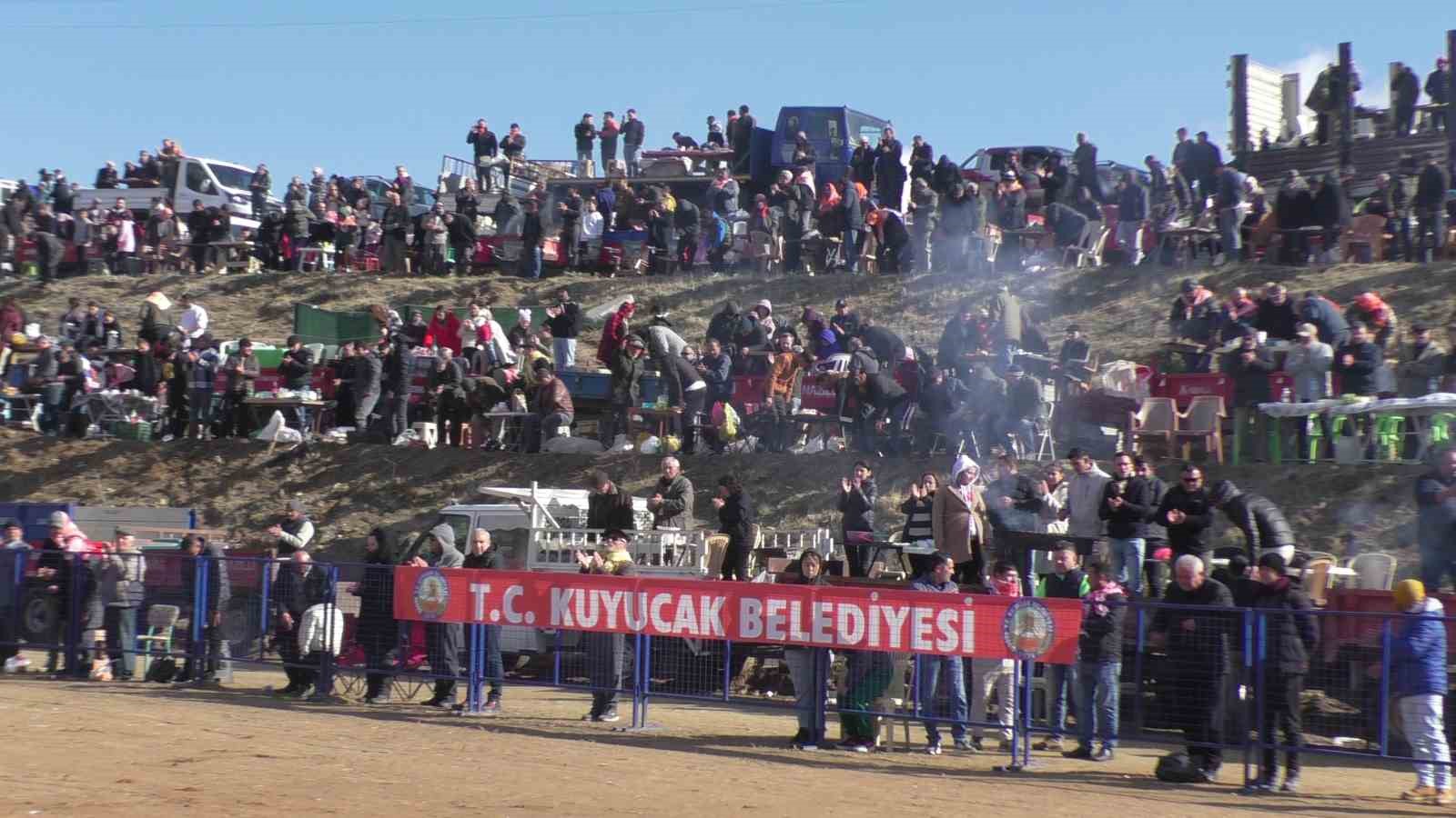 Kuyucak’ta pehlivan develer şampiyonluk için güreşti
