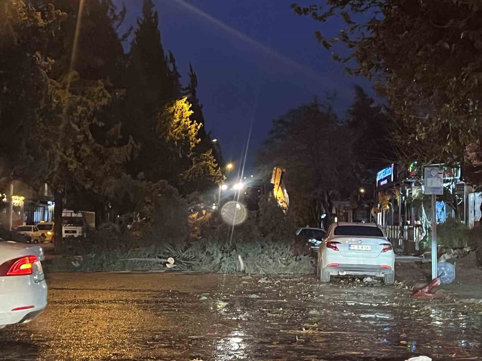 Kahramanmaraş’ta şiddetli rüzgarda ağaçlar ve direkler devrildi
