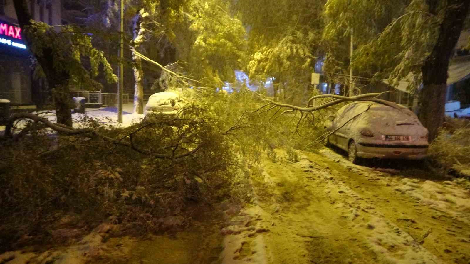 Malatya’da kardan kırılan ağaç dalları araçların üzerine devrildi
