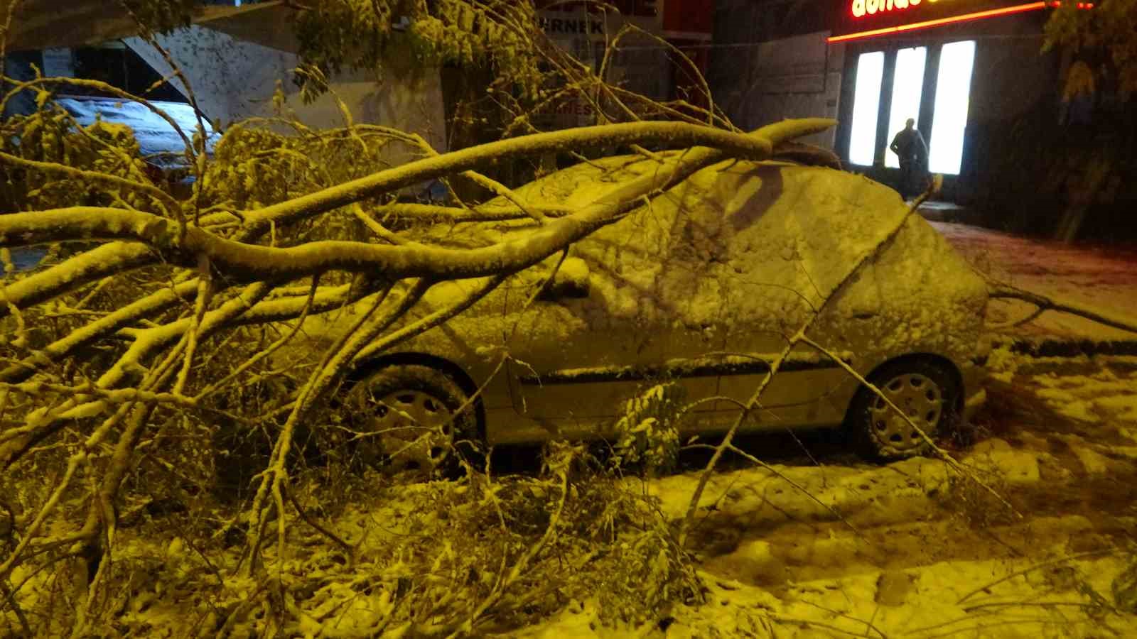 Malatya’da kardan kırılan ağaç dalları araçların üzerine devrildi
