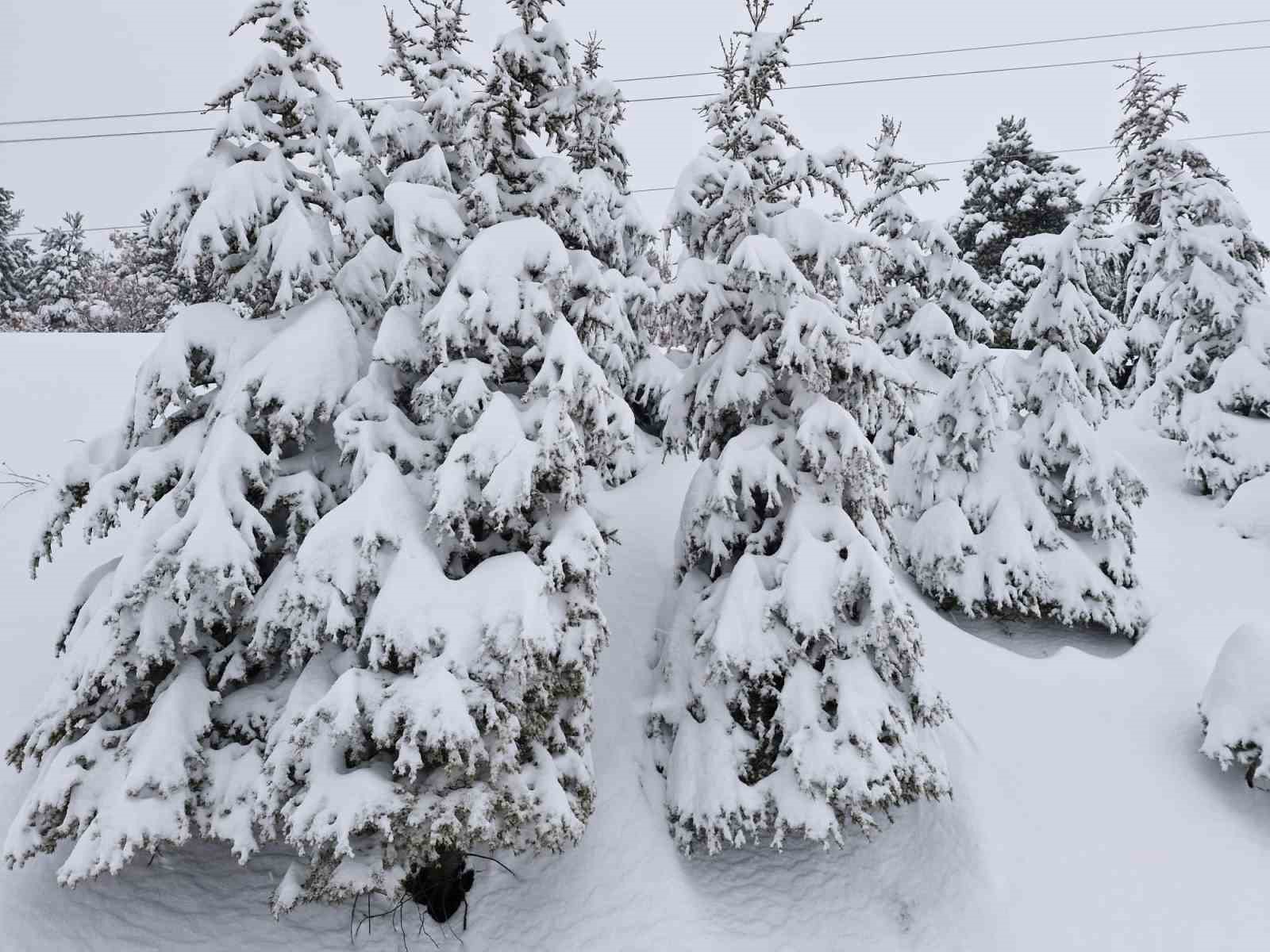 Göksun ilçesinde kar etkili oldu
