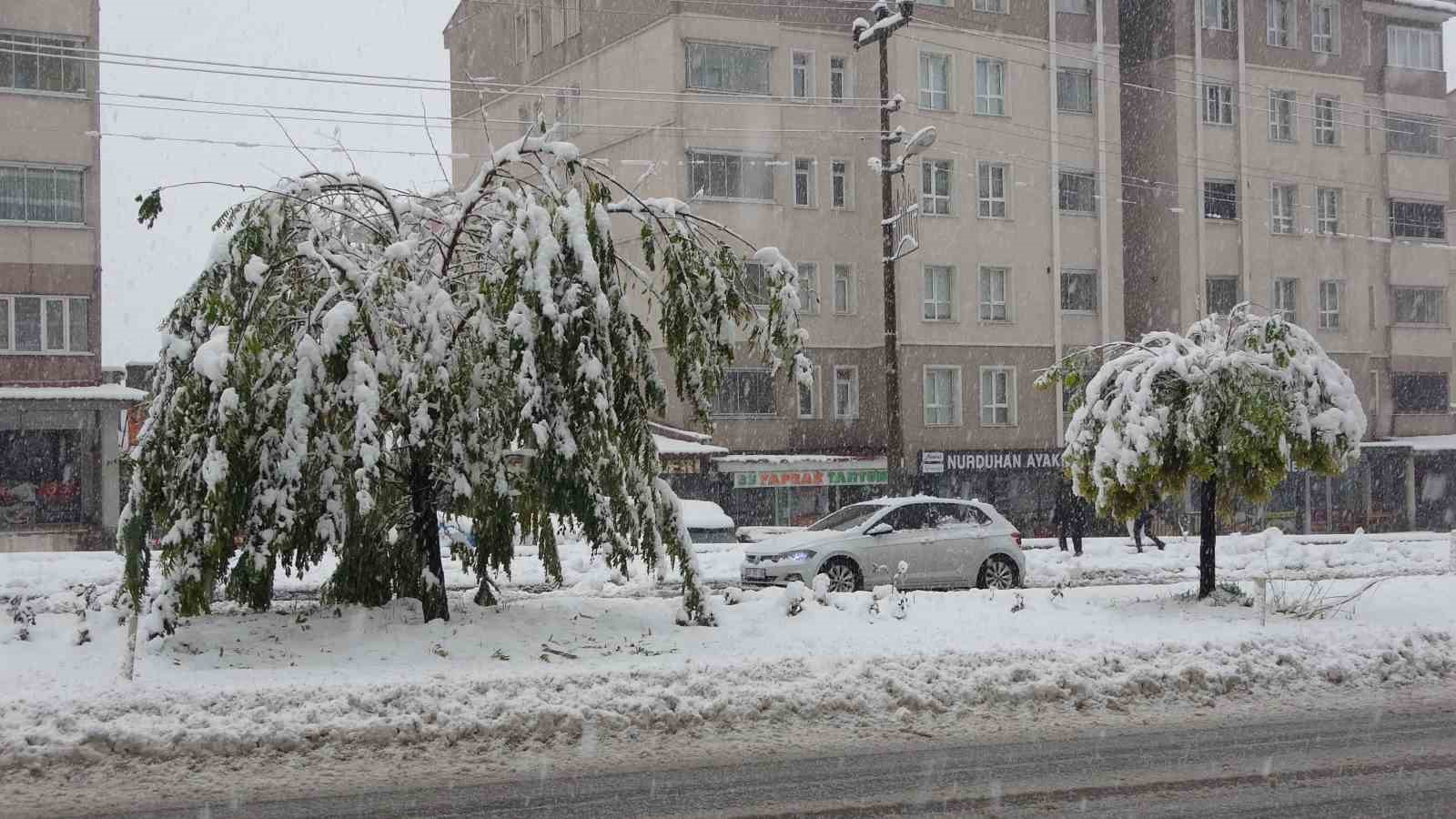 Bitlis’te kar yağışı: 84 köy yolu ulaşıma kapandı
