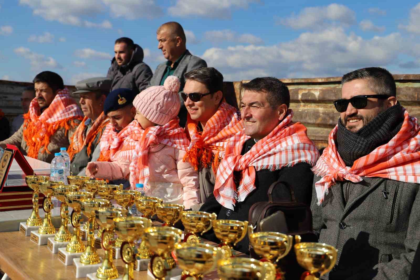 Saruhanlı’da deve güreşleri festivaline büyük ilgi
