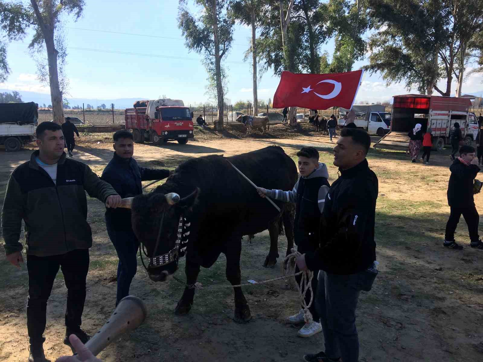 Güreşi kazanınca davul zurna eşliğinde oynadı
