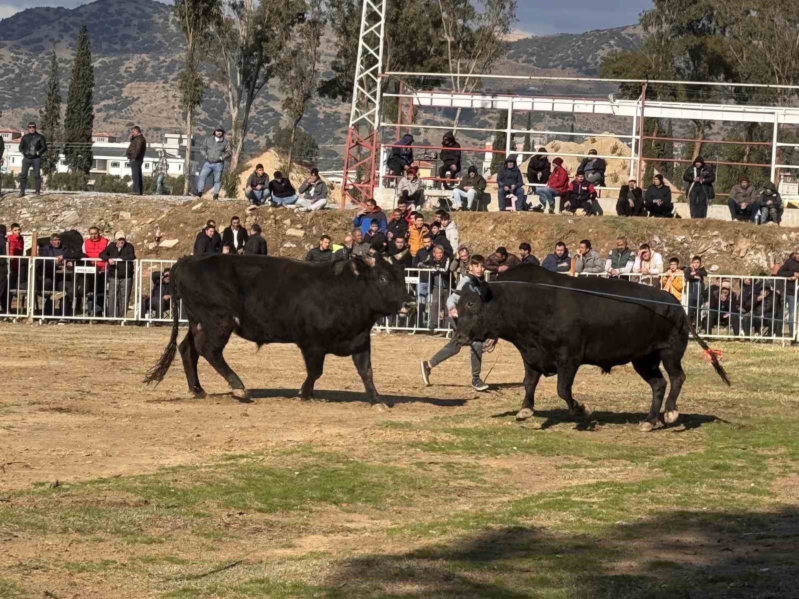 Güreşi kazanınca davul zurna eşliğinde oynadı
