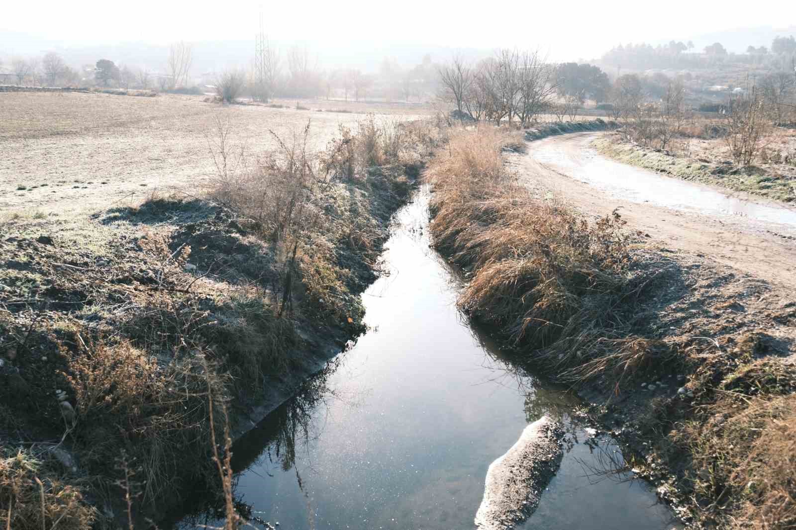 Başkan Tayır: 