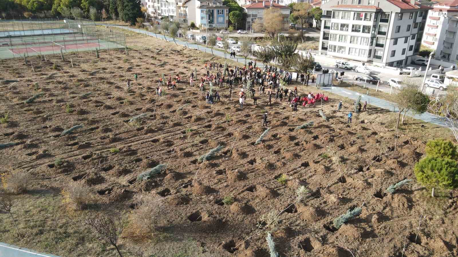 Bandırma’da katledilen kadınlar anısına fidan dikildi
