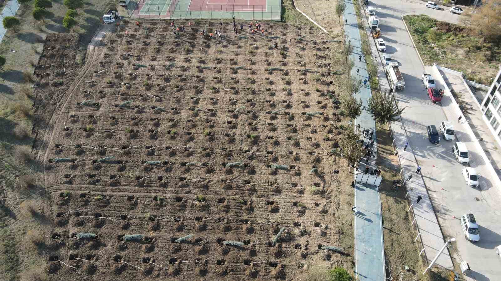 Bandırma’da katledilen kadınlar anısına fidan dikildi
