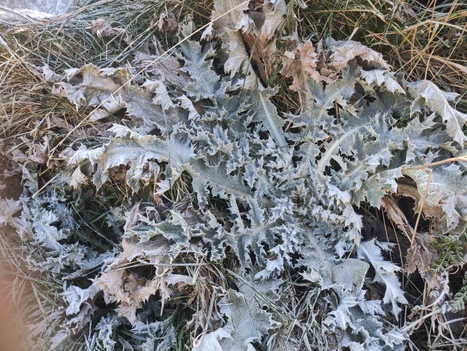 Kar yağışının ardından soğuklar etkili oldu, Göle eksi 12’yi gördü
