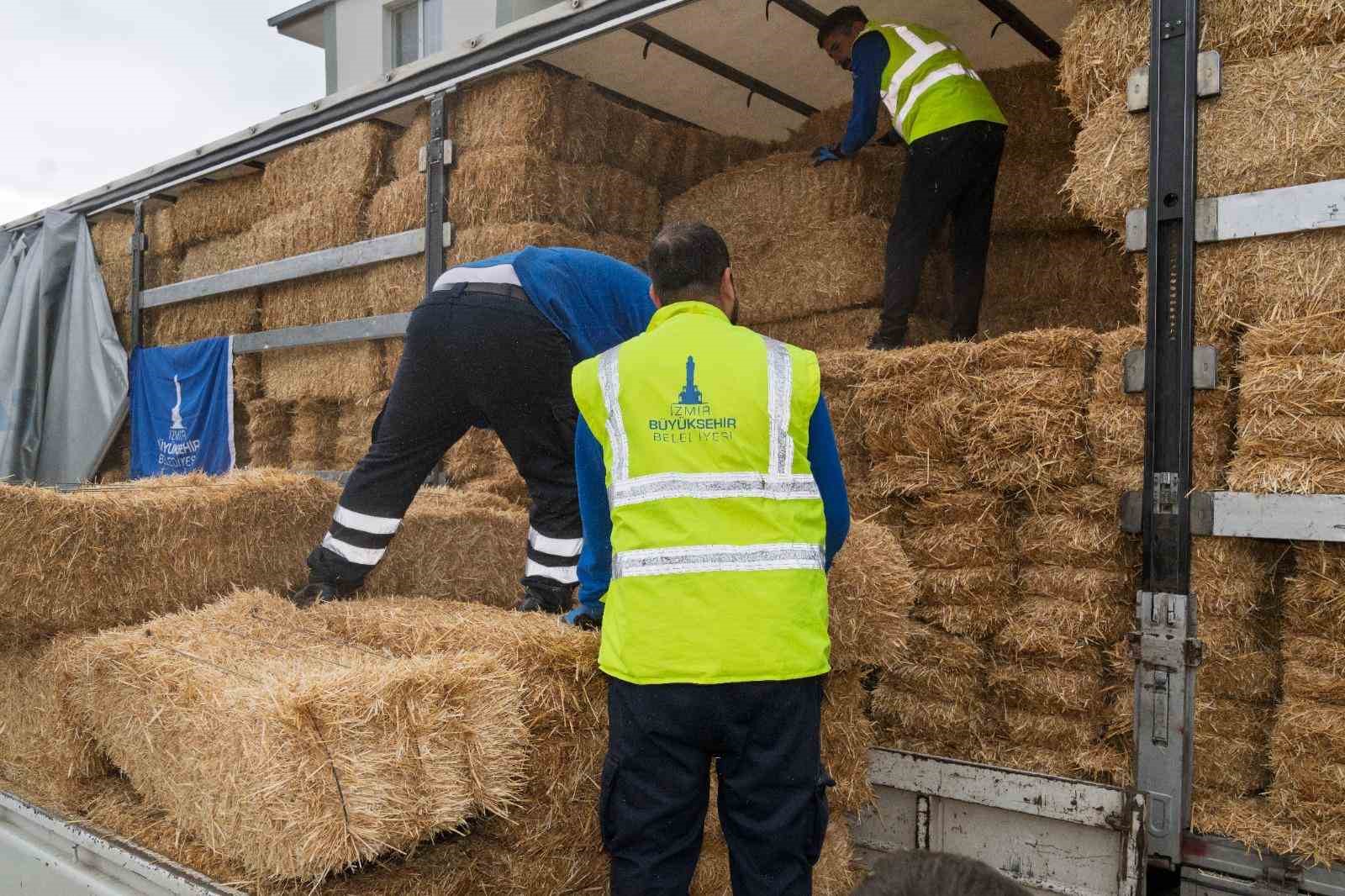 Yangın mağduru çiftçilere 225 ton yem desteği
