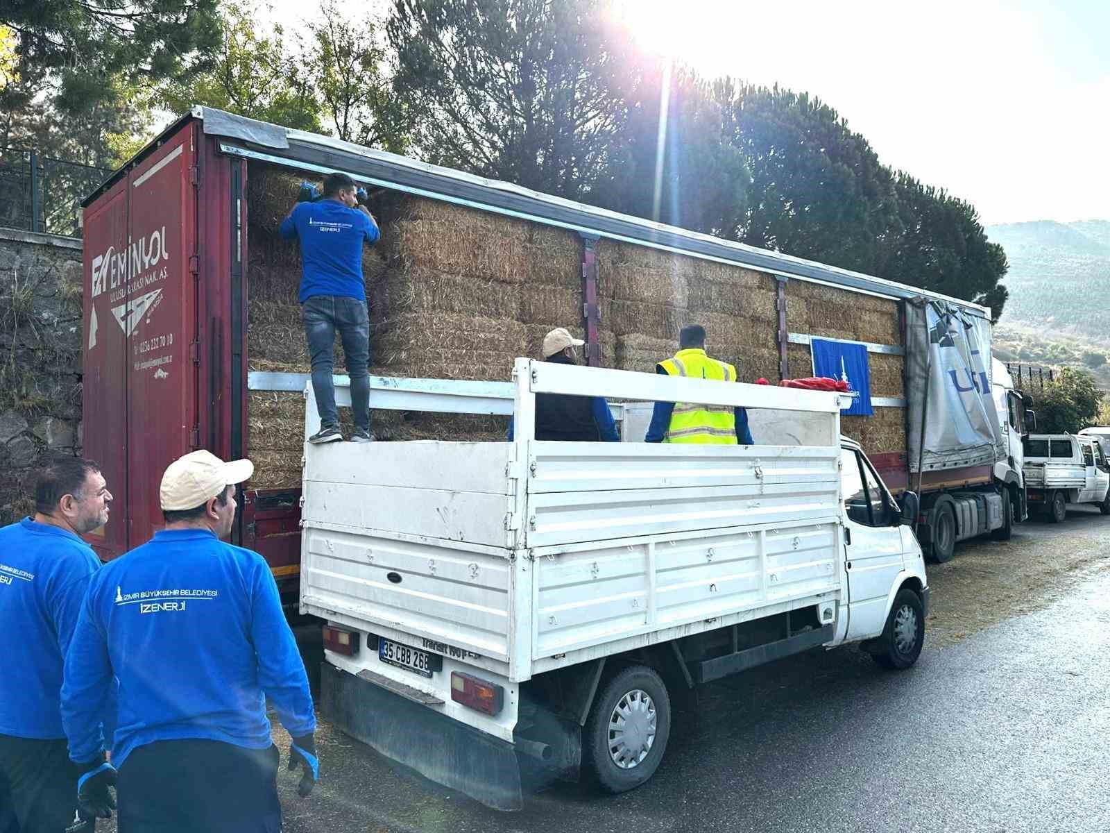 Yangın mağduru çiftçilere 225 ton yem desteği
