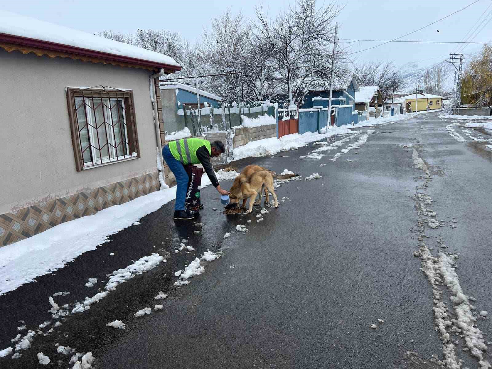 Sokak hayvanları için besleme çalışması yapıldı
