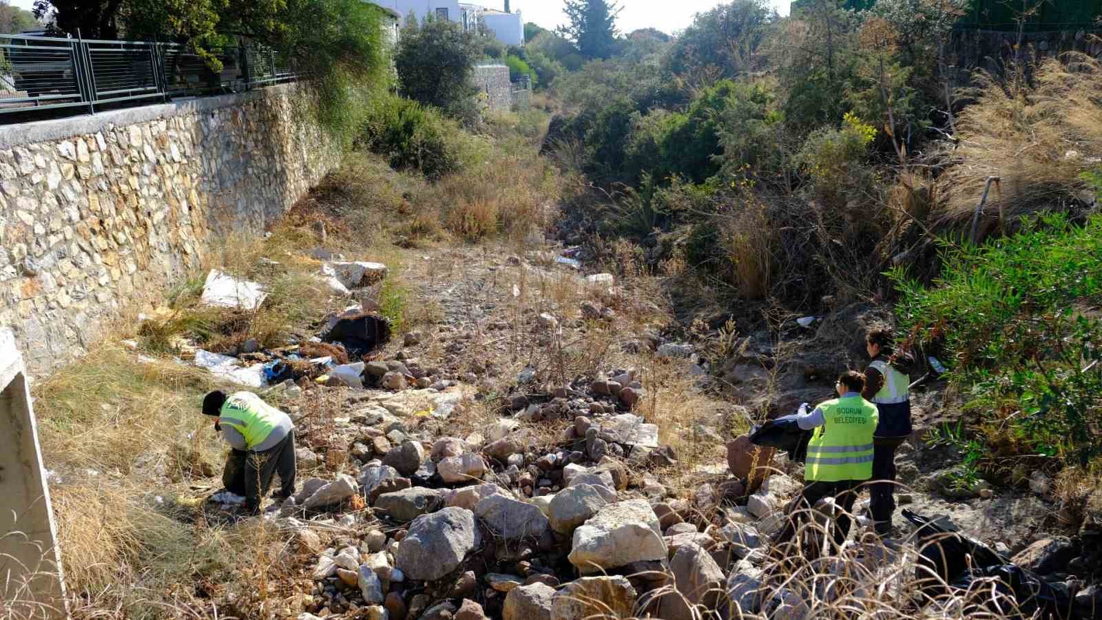 Tescilli Ağaç Topluluğu bölgesi temizlendi
