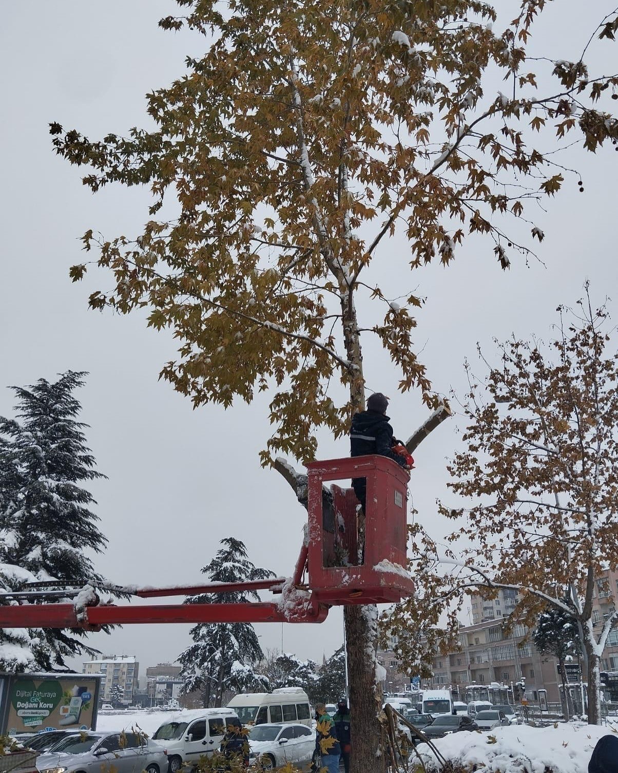 Büyükşehir ekiplerinden kaldırım ve parklarda yoğun mesai
