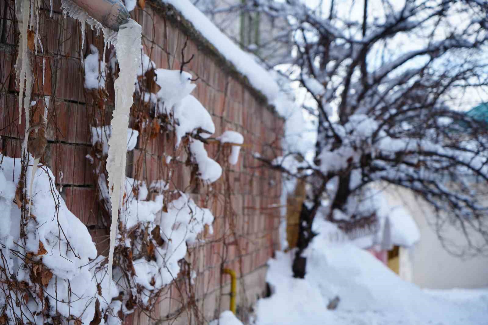 Bayburt Bayburt olalı böyle kar görmedi: Kuşlar dondu, otoparkın çatısı çöktü, buz sarkıtları oluştu
