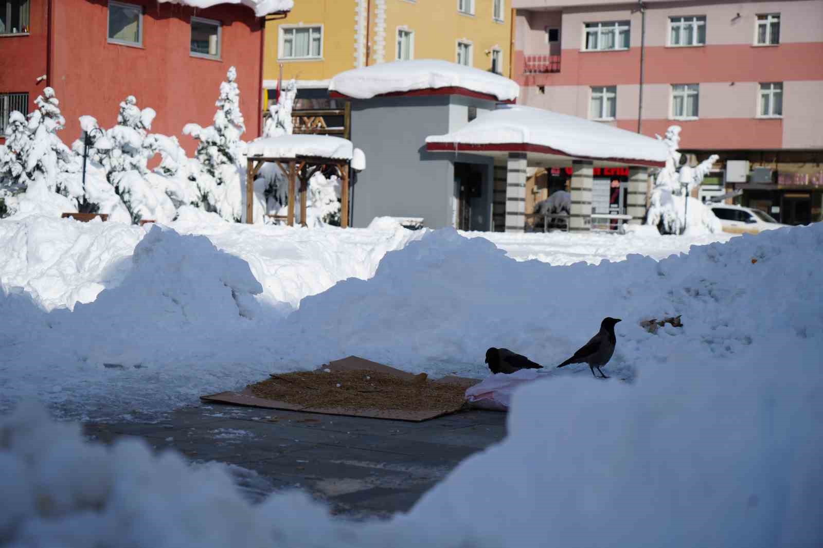 Bayburt Bayburt olalı böyle kar görmedi: Kuşlar dondu, otoparkın çatısı çöktü, buz sarkıtları oluştu
