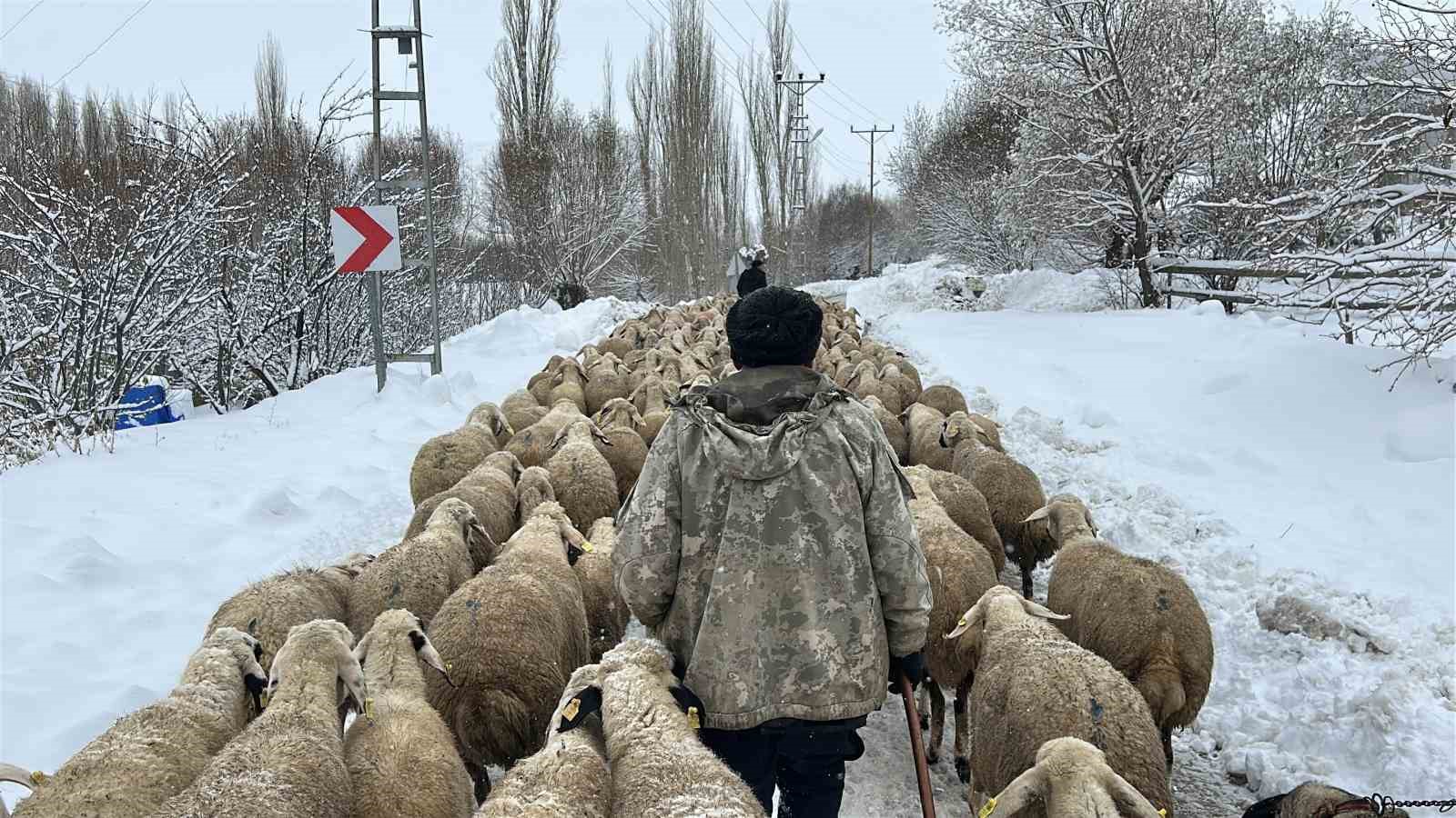 Kara kışa hazırlıksız yakalanan çobanlar yayladan erken indi
