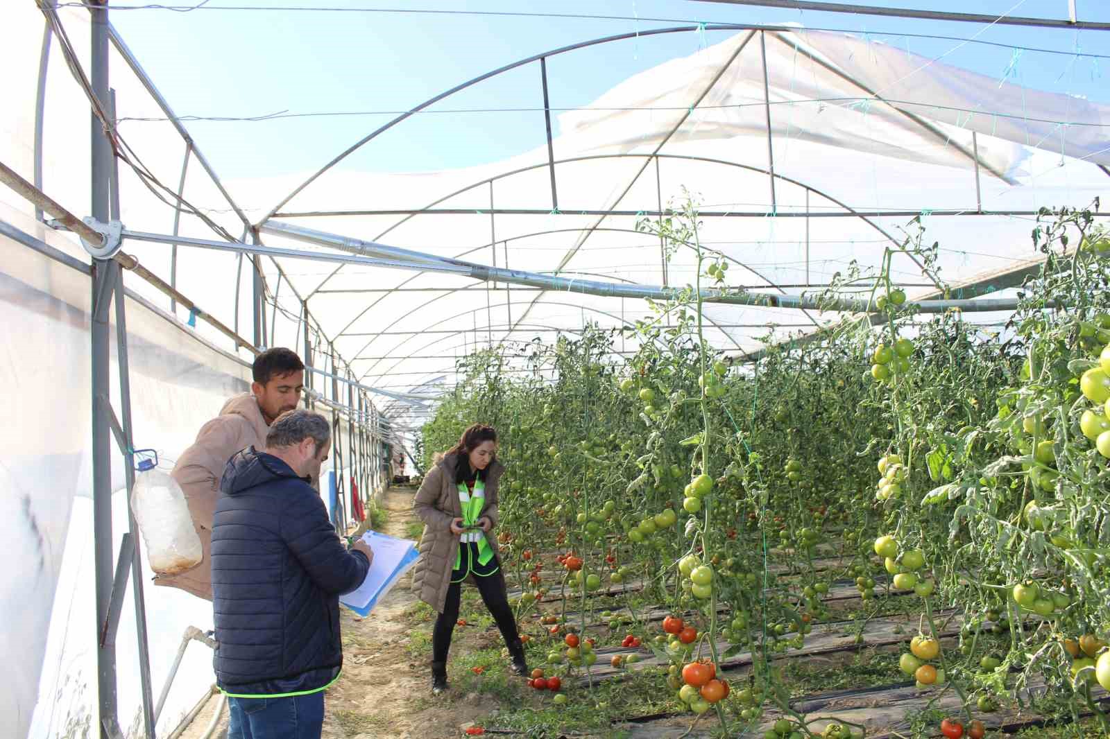 Fırtına ve hortum sonrası Antalya’da hasar tespiti sürüyor
