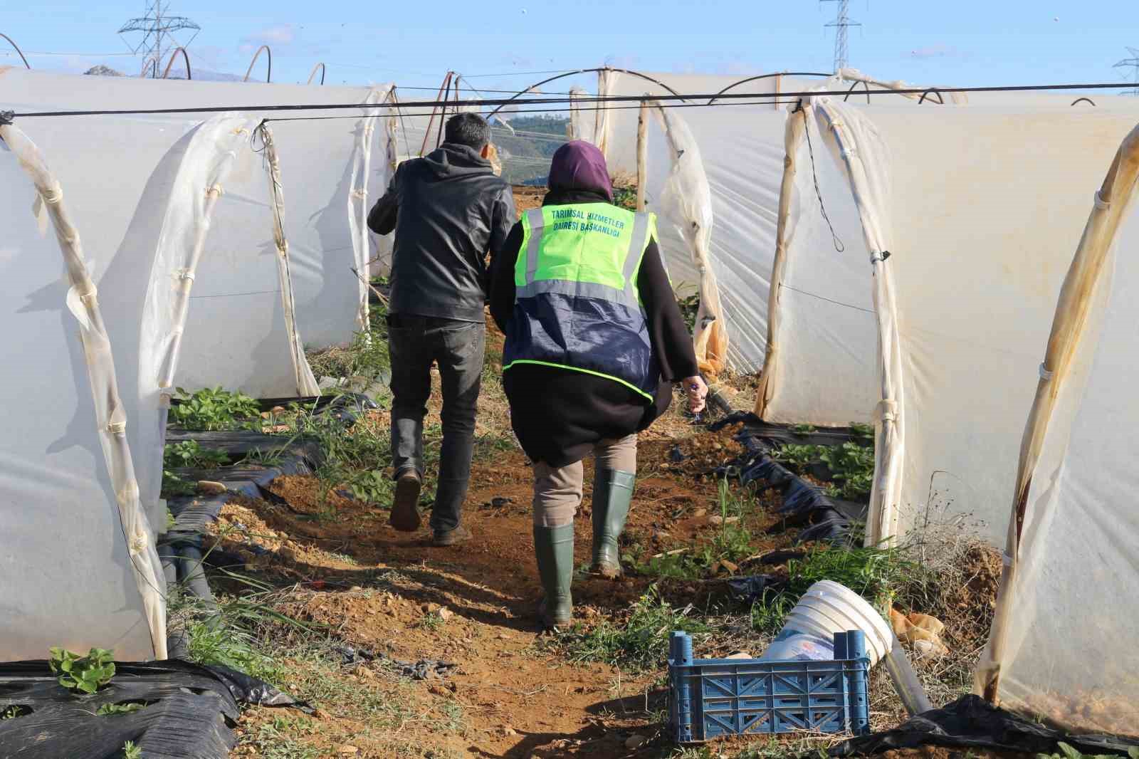 Fırtına ve hortum sonrası Antalya’da hasar tespiti sürüyor
