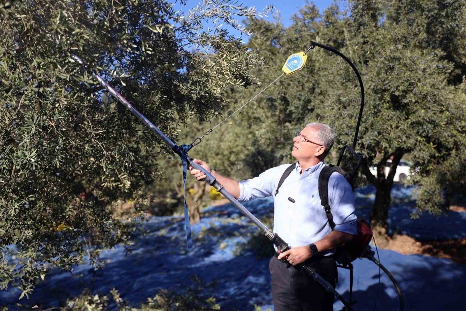 Mudanya zeytin turizmiyle markalaşacak
