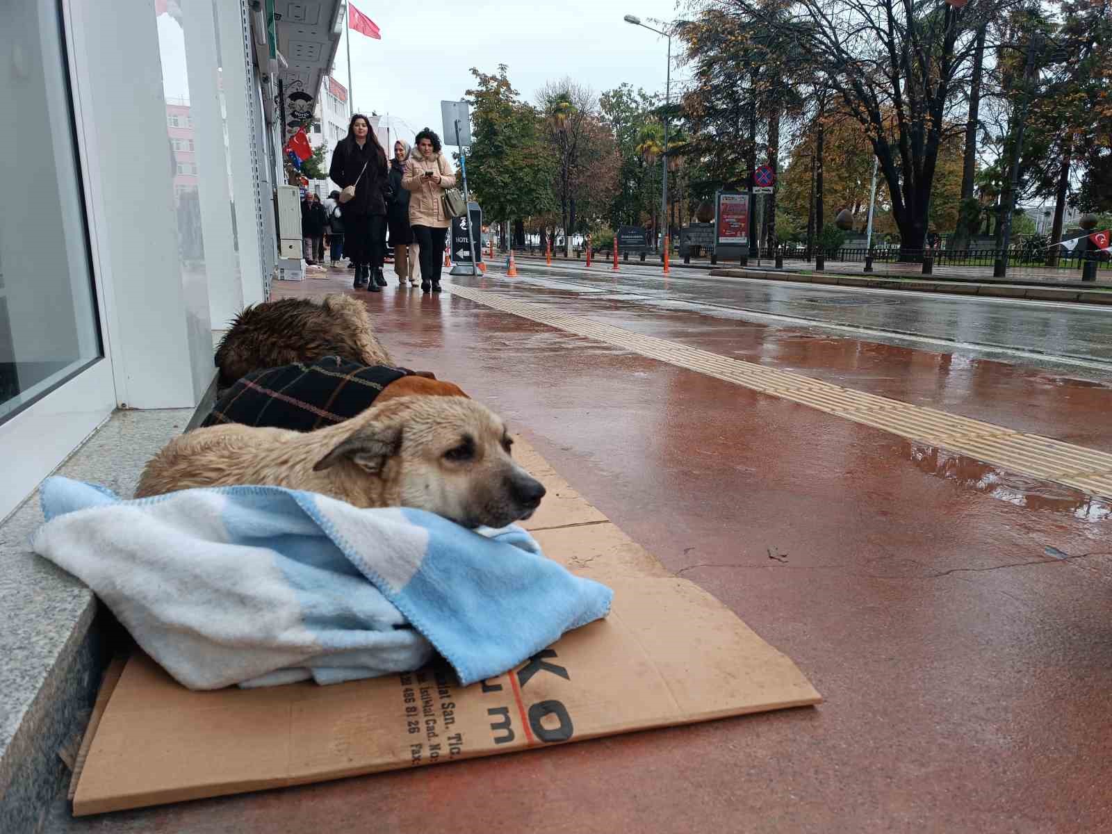 Esnaftan yürek ısıtan hareket
