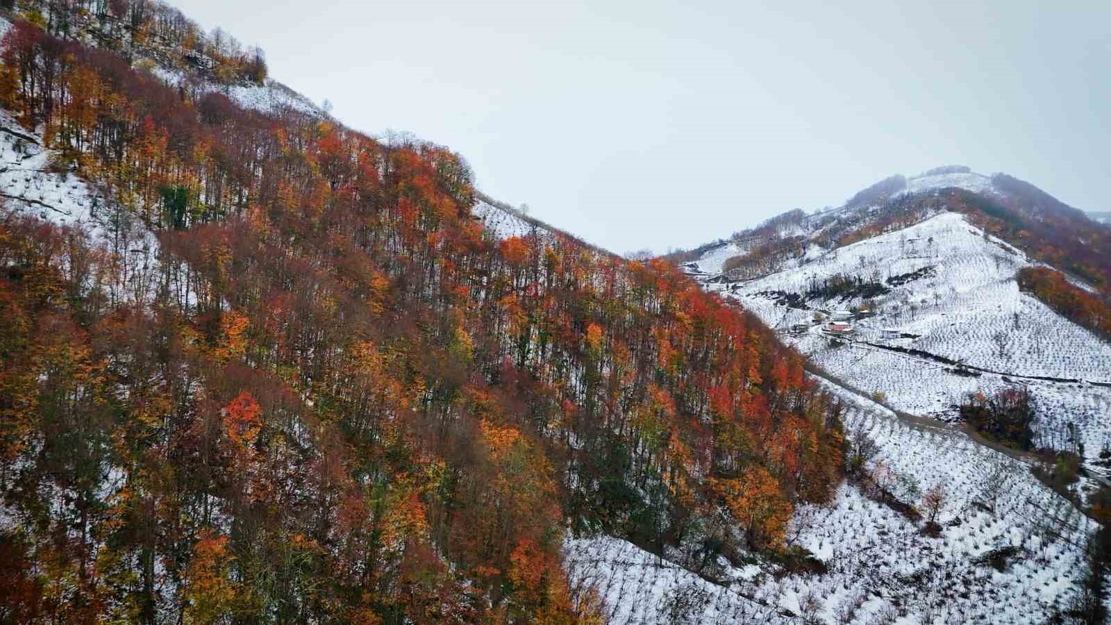 Ordu’dan kar manzaraları
