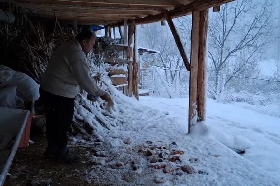 Köylü kar yağınca kuşları unutmadı
