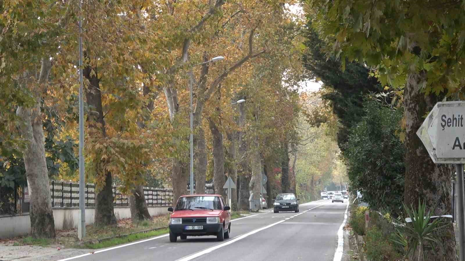 Ata yadigarı Çınarlı Hıyaban her mevsim ayrı güzel
